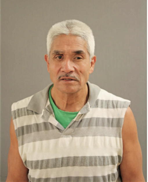 HERMELINDO AVILES, Cook County, Illinois