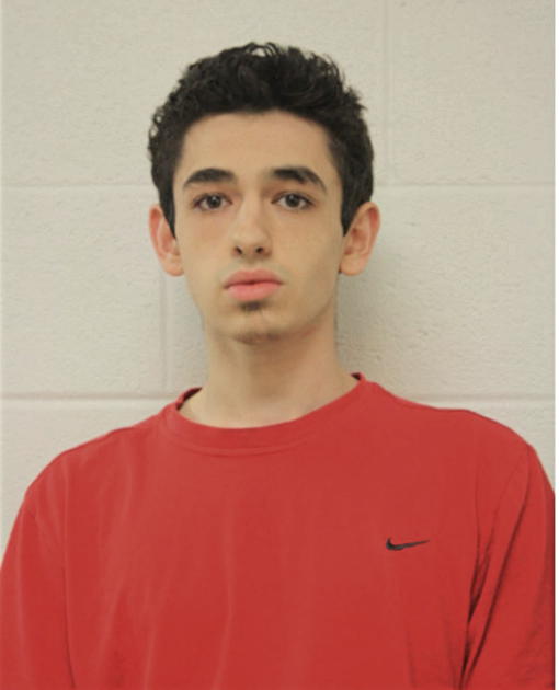 NICHOLAS M BULLISTRON, Cook County, Illinois