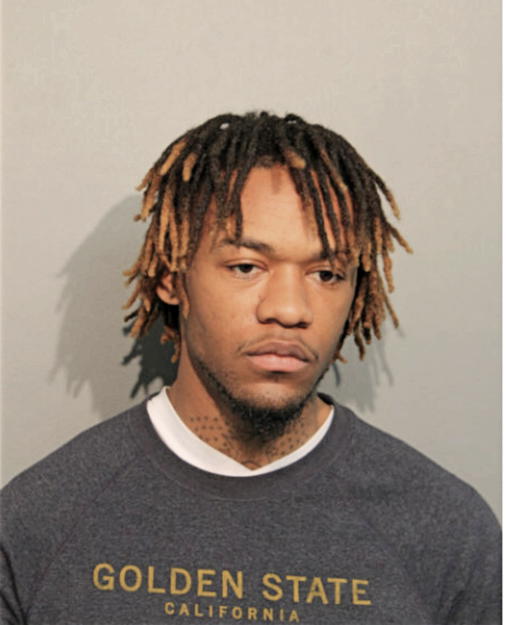 COREY C LANDER, Cook County, Illinois