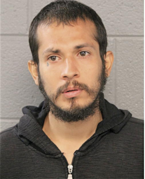 MICHAEL DELATORRE, Cook County, Illinois