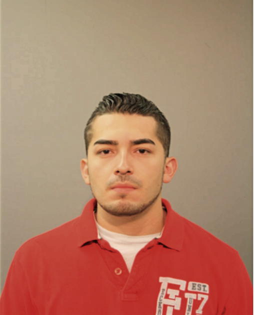 LUIS MANUEL DIRZO, Cook County, Illinois