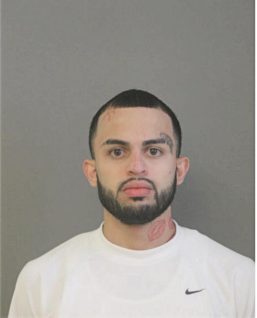 ANDY ESTRADA, Cook County, Illinois