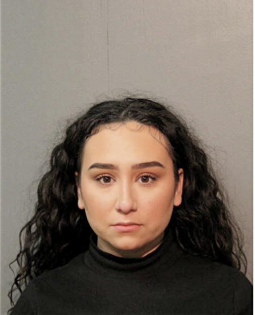 ALEJANDRA C GONZALEZ, Cook County, Illinois
