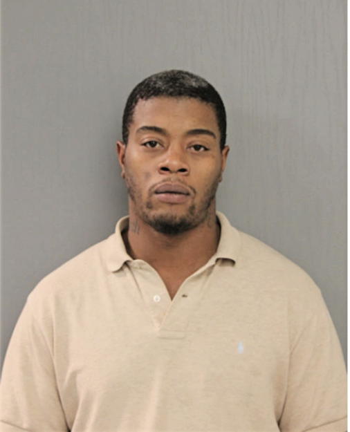 DEWAYNE H HOGANS, Cook County, Illinois
