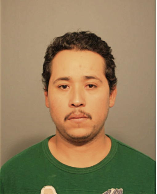 ANDRES CARLIN MEDINA, Cook County, Illinois