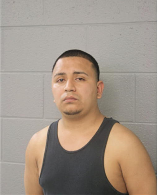 HORACIO MEDINA, Cook County, Illinois
