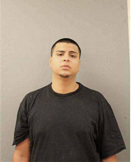 HECTOR M MENDOZA, Cook County, Illinois
