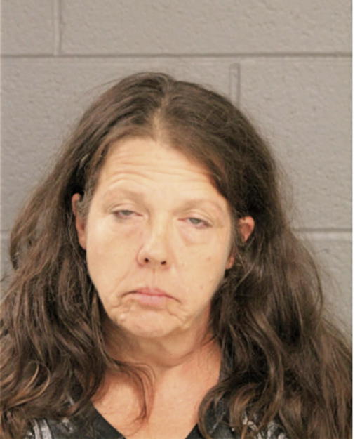 DAWN M OSTAPOWICZ, Cook County, Illinois