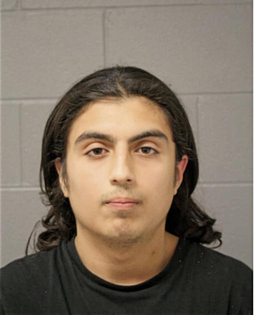 JESSE S RINCON, Cook County, Illinois