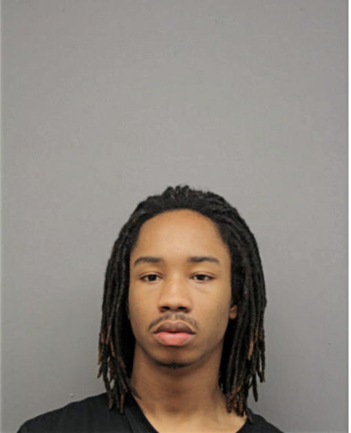 MICHAEL E SHAW, Cook County, Illinois