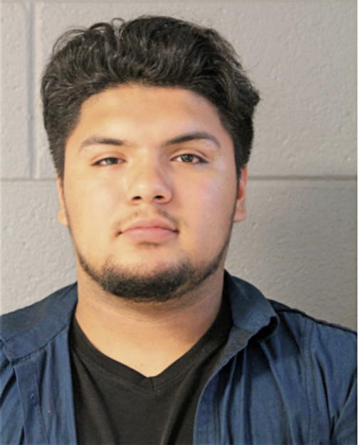 ESTEBAN R TORRES, Cook County, Illinois