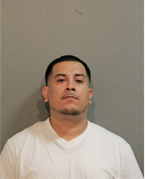 MANUEL A ALVARADO, Cook County, Illinois