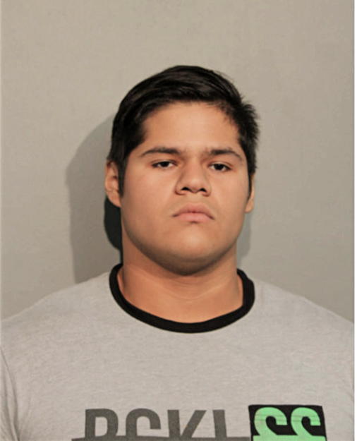IRVING J ANAYA, Cook County, Illinois