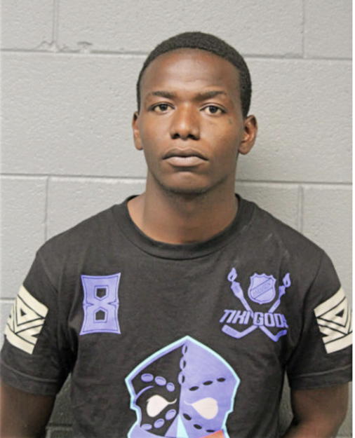 TERRANCE T ANDERSON, Cook County, Illinois