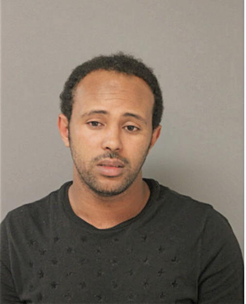 ADANE M ANELAY, Cook County, Illinois