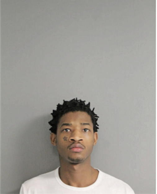 DAMIEN E BEAL, Cook County, Illinois