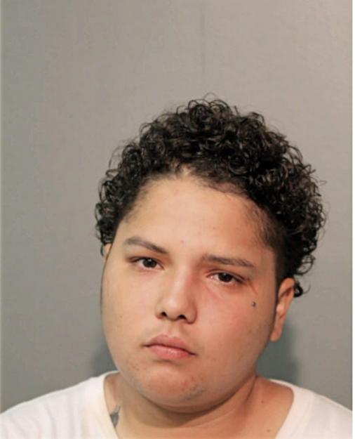 ANGELIQUE J CASTRO, Cook County, Illinois