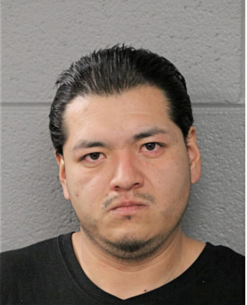 LUIS A FLORES, Cook County, Illinois