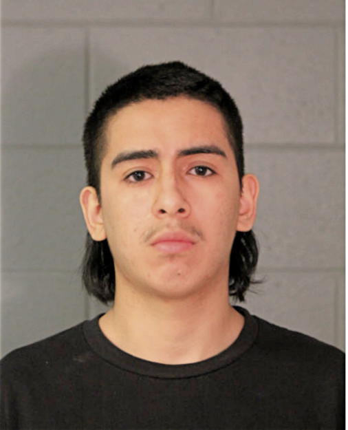 ALEXIS GALVAN, Cook County, Illinois