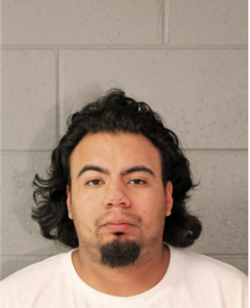 RICARDO GONZALEZ, Cook County, Illinois