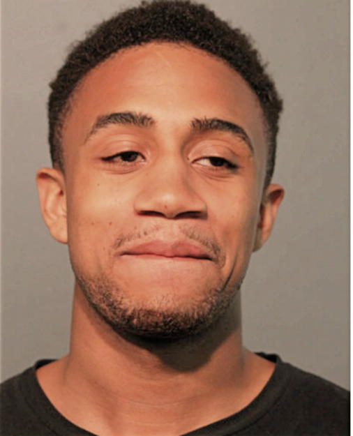 ALLAN S GREEN, Cook County, Illinois