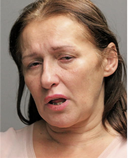 WIESLAWA G KANIA, Cook County, Illinois