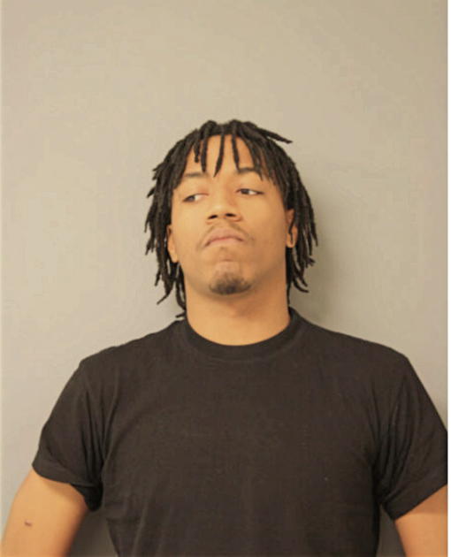 MICHAEL J LAWRENCE, Cook County, Illinois