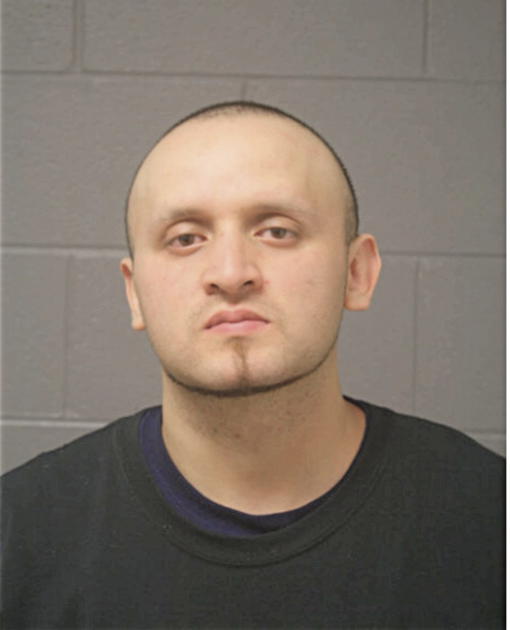 SESAR LEON, Cook County, Illinois