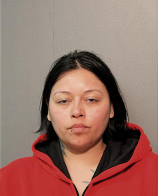 KARLA P LIMA, Cook County, Illinois