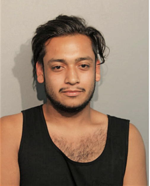 CESAR A MARTINEZ, Cook County, Illinois