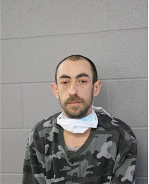 CARLOS M REYNOSO, Cook County, Illinois