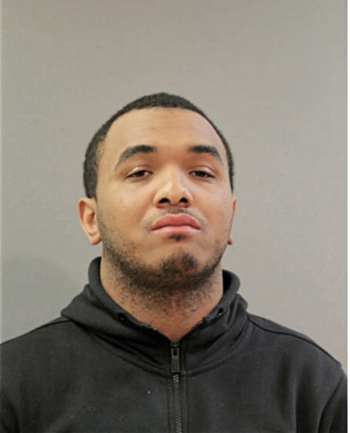 MICHAEL H ROBERTS, Cook County, Illinois
