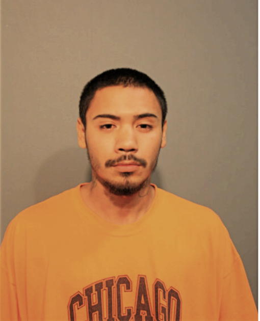 MICHAEL A RODRIGUEZ, Cook County, Illinois