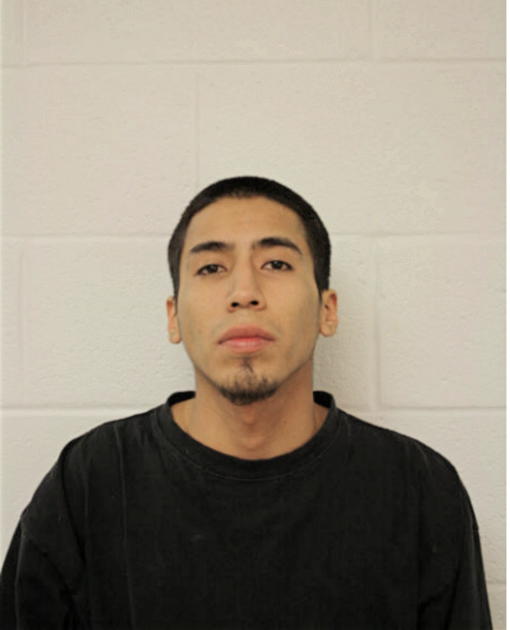 JOSE A SOTELO, Cook County, Illinois