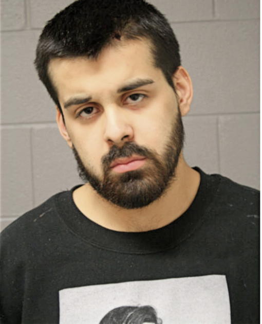 JULIAN A SOTO, Cook County, Illinois
