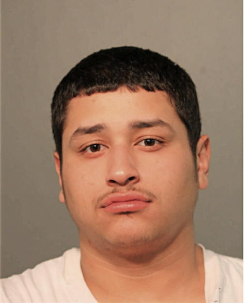 ANTHONY E TORRES, Cook County, Illinois
