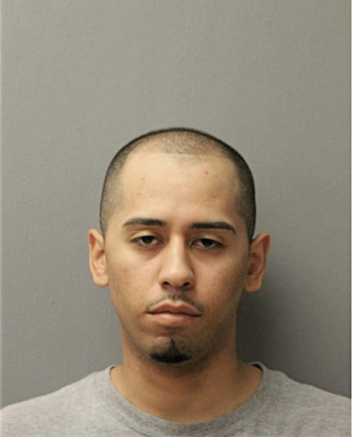 ORLANDO M VILLA, Cook County, Illinois