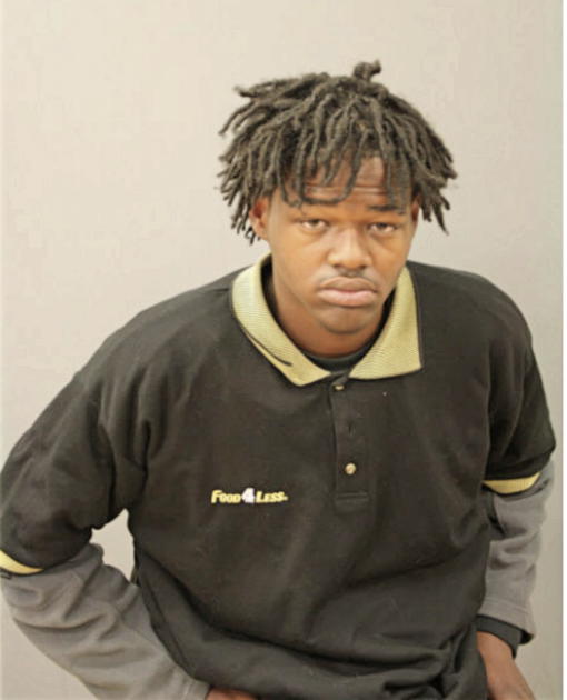 AARON L WASHINGTON, Cook County, Illinois