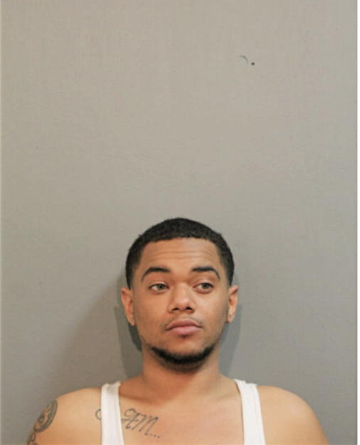 JOEL L ACOSTA, Cook County, Illinois