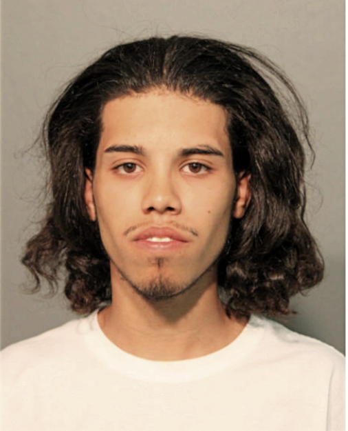 ANTHONY J ALVARADO, Cook County, Illinois