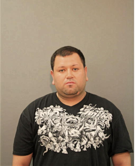 VICTOR ANDRADE, Cook County, Illinois