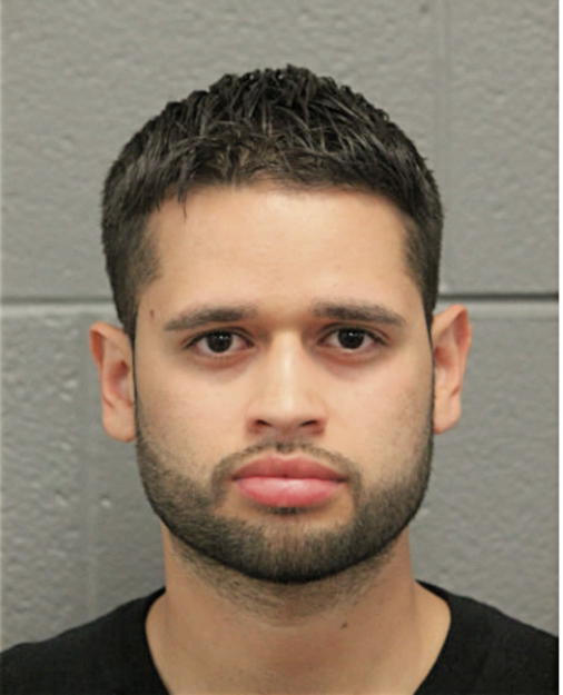 EDGAR N ARGUETA, Cook County, Illinois