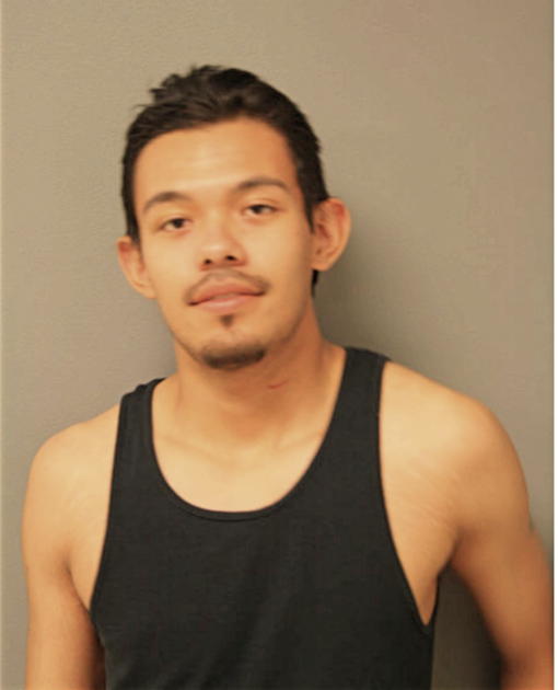 JOSE A ARZATE, Cook County, Illinois