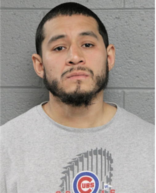 VICTOR H BRICENO, Cook County, Illinois