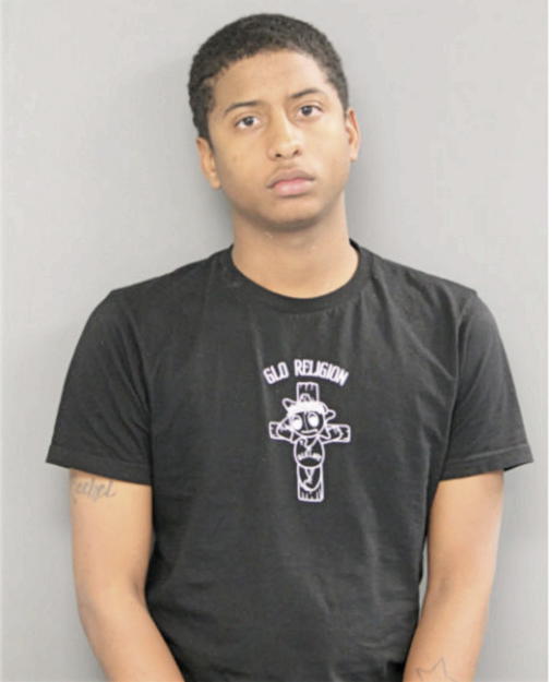 MICHAEL D BROWN, Cook County, Illinois
