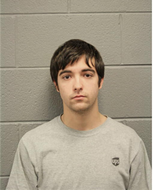 SEAN M HENRY, Cook County, Illinois
