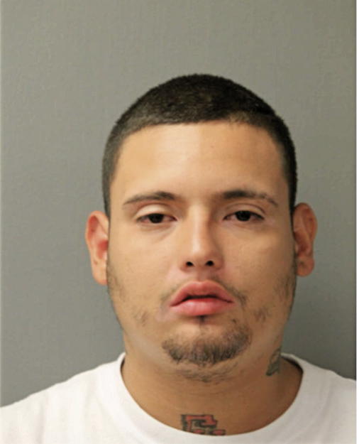 LUIS M HERNANDEZ, Cook County, Illinois