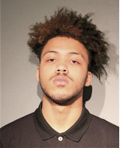 MARSHAUN W JOHNSON, Cook County, Illinois