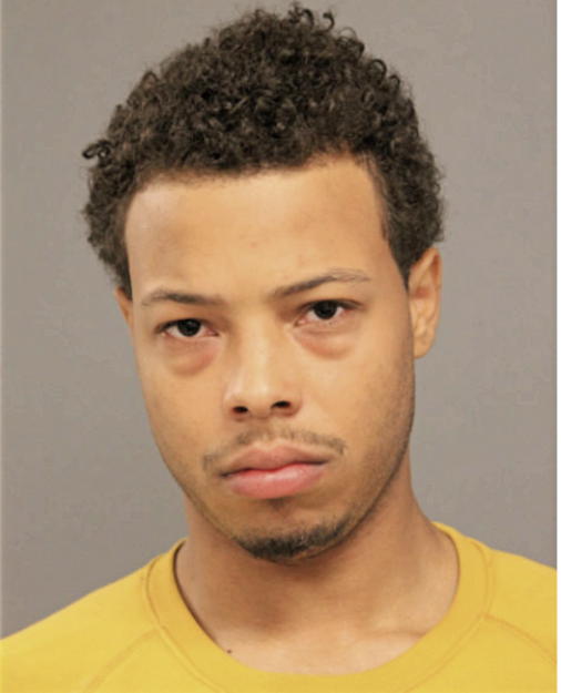 MICHAEL K WILLIAMS III, Cook County, Illinois