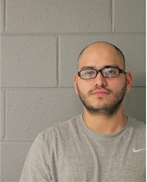 VICTOR M LEON, Cook County, Illinois